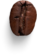 Isolated Cutout PNG