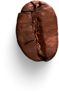 Isolated Cutout PNG